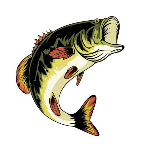 bass fish vector art